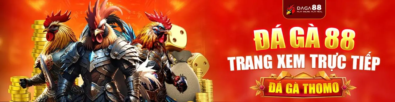 Quy trình lưu trữ và xóa dữ liệu tại bet4vn đăng nhập